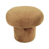 Magic Mushroom Stools