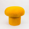 Magic Mushroom Stools